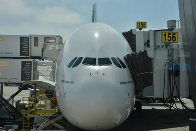 DSC_4065 (Large).JPG